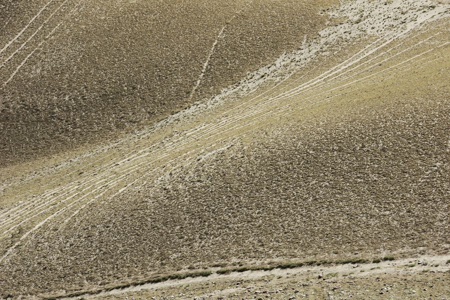 _DSC9777__.jpg