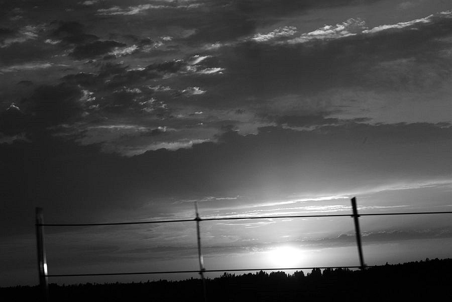 _DSC9893__.jpg