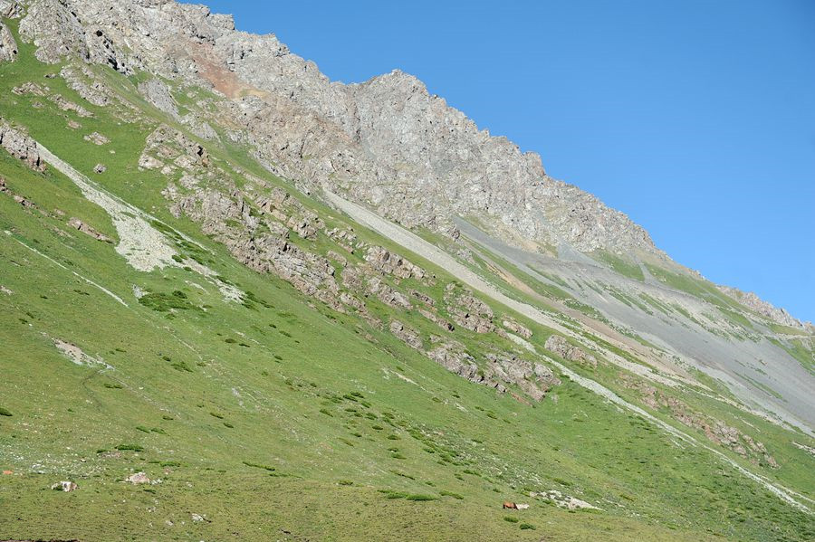DSC_7408__.jpg