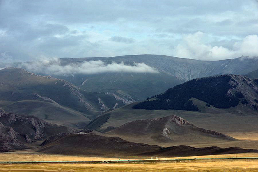 _DSC6703__.jpg