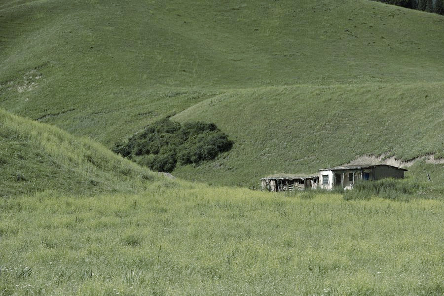 _DSC8541__.jpg