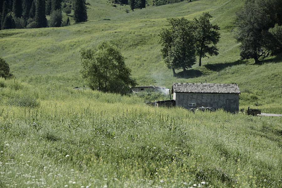 _DSC8544__.jpg
