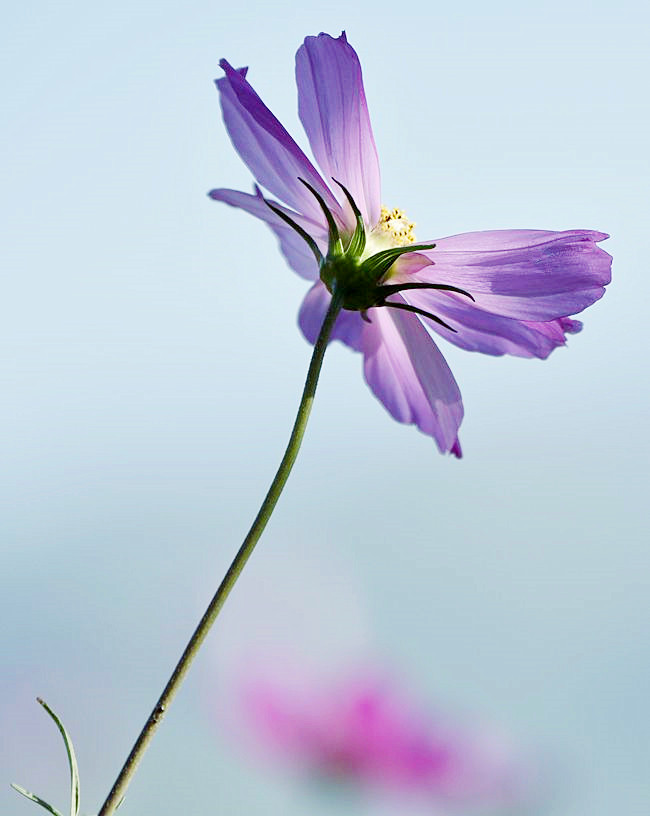 _DSC7940__.jpg