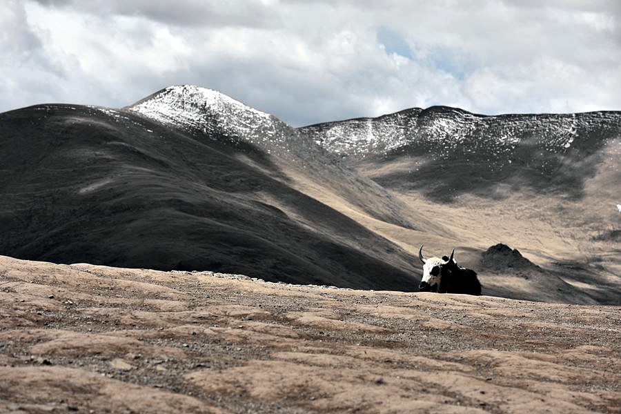 DSC_1663___.jpg