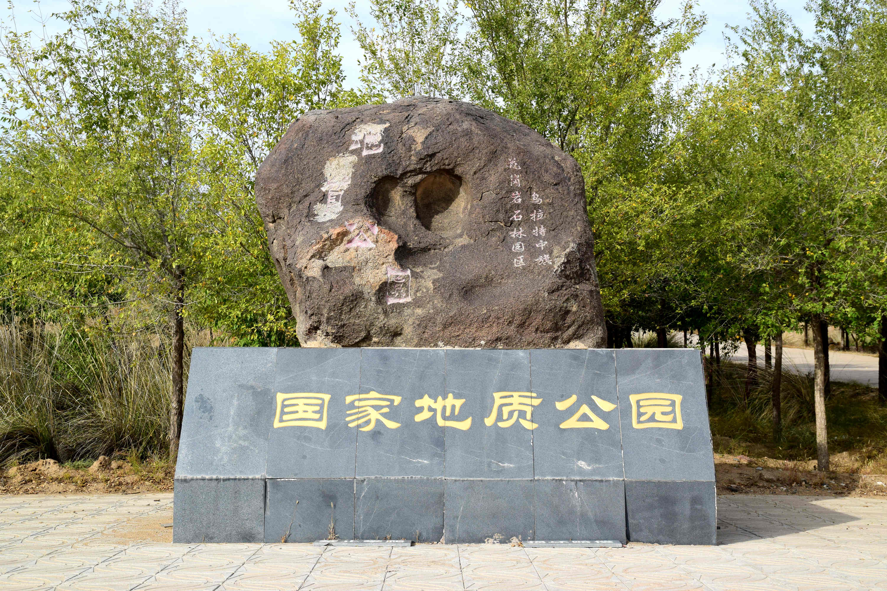 259.JPG