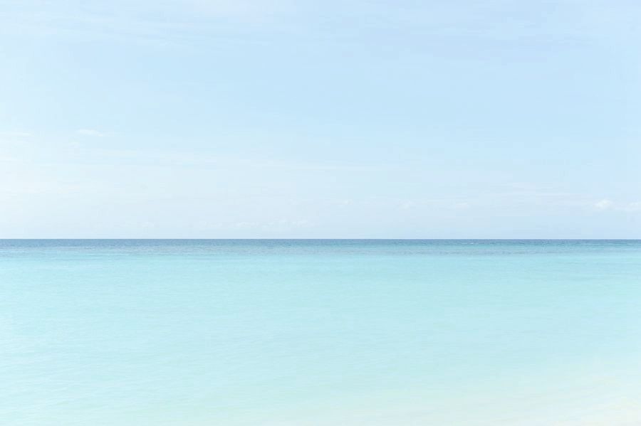_DSC2926___.jpg