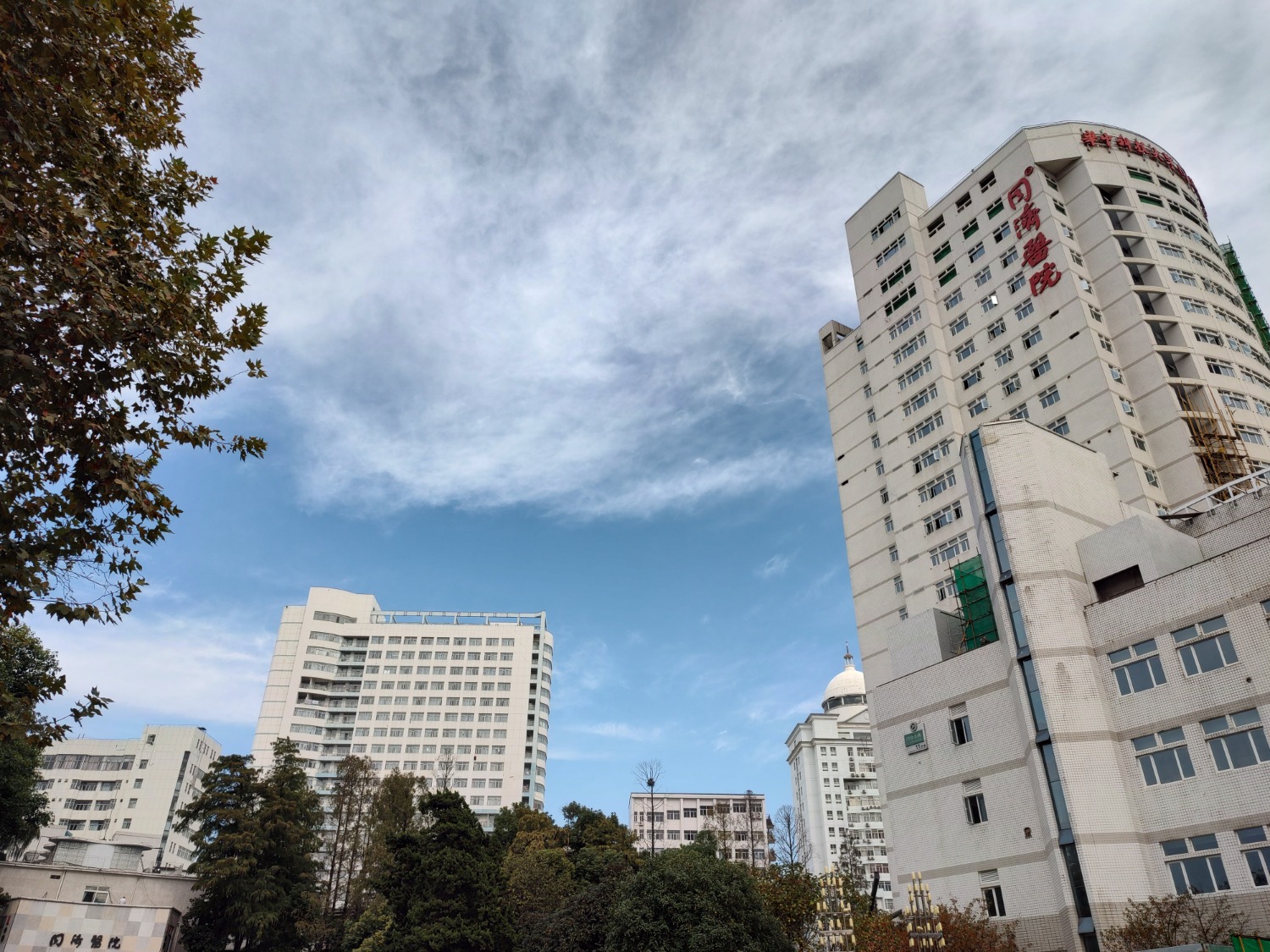 IMG_20211109_103229108_HDR.jpg