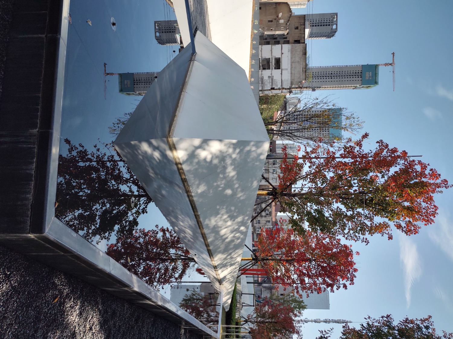 IMG_20211116_124741824_HDR.jpg