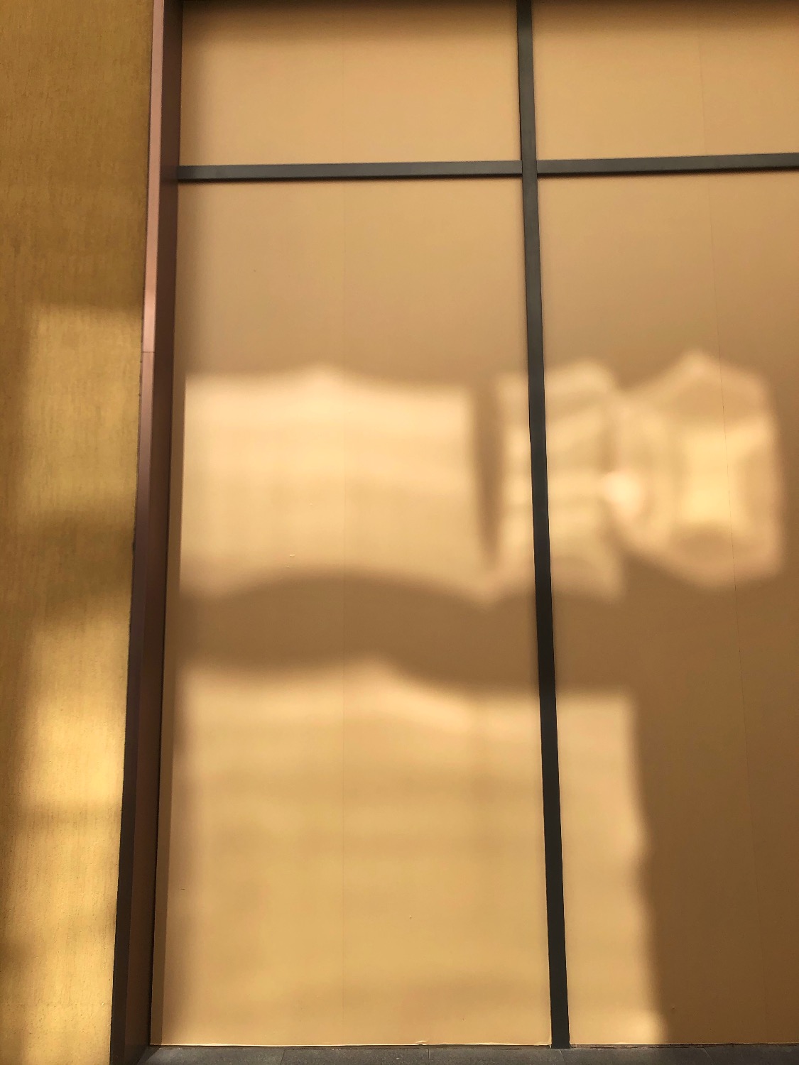34671C17-F54A-4DB2-90F9-4795AA7A4208.jpeg