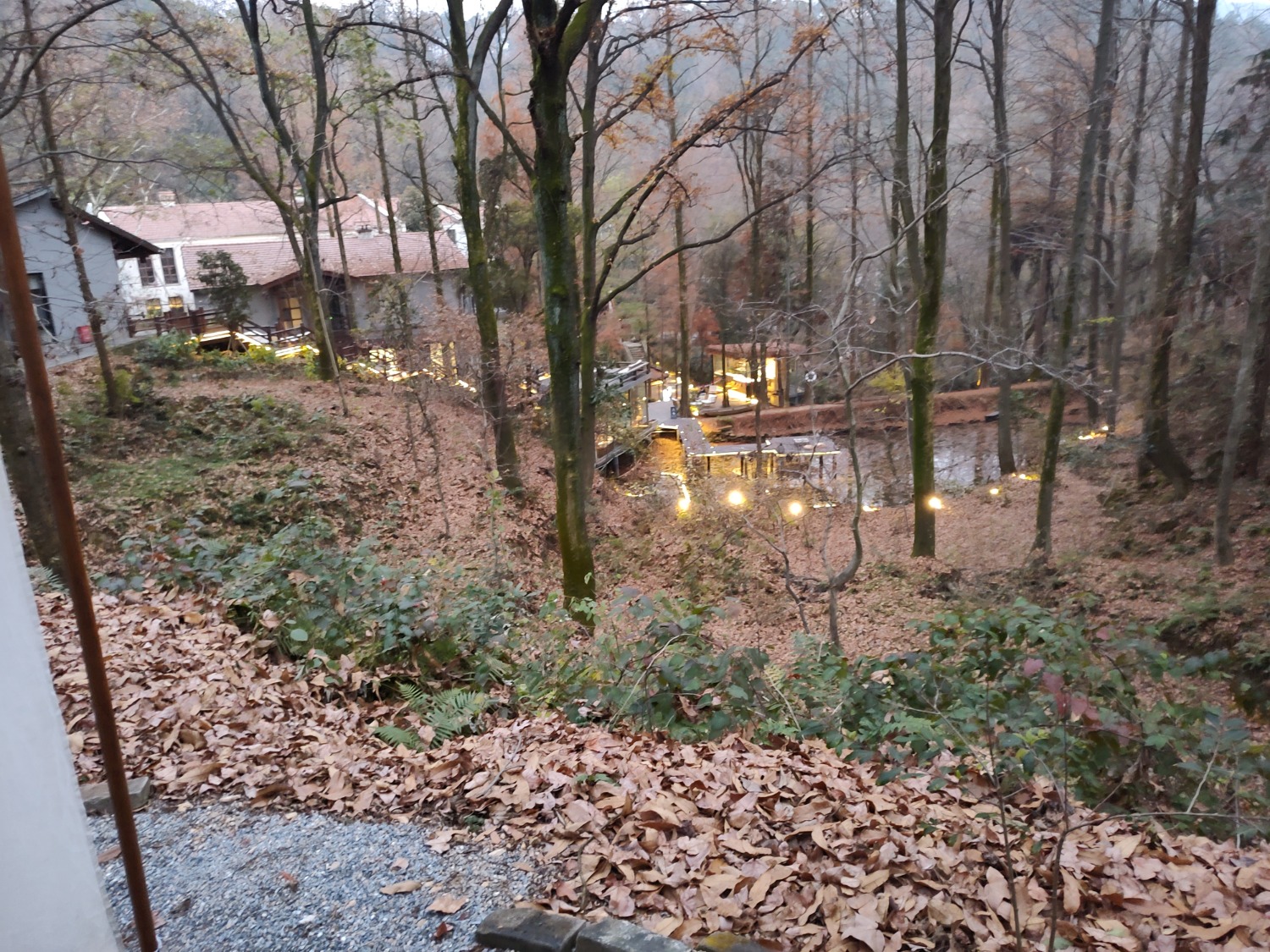 IMG_20211214_173105867.jpg