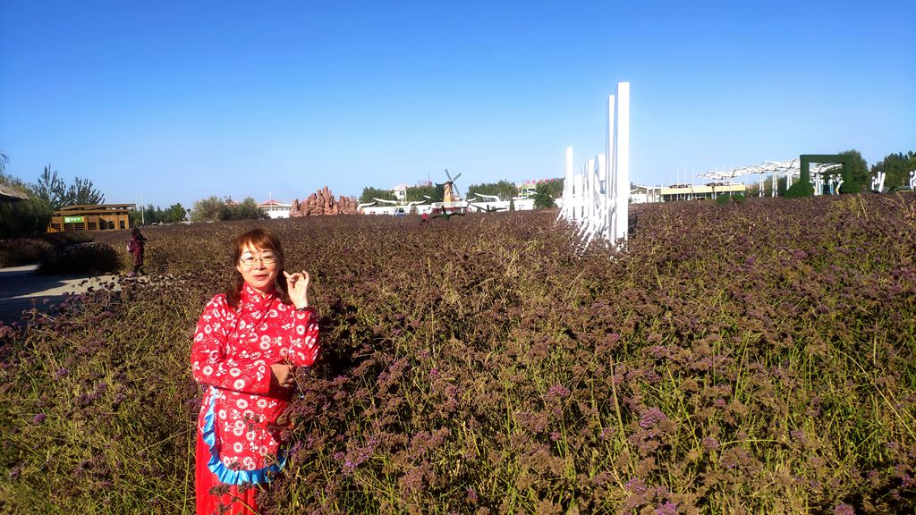 IMG_20211011_154231_副本.jpg