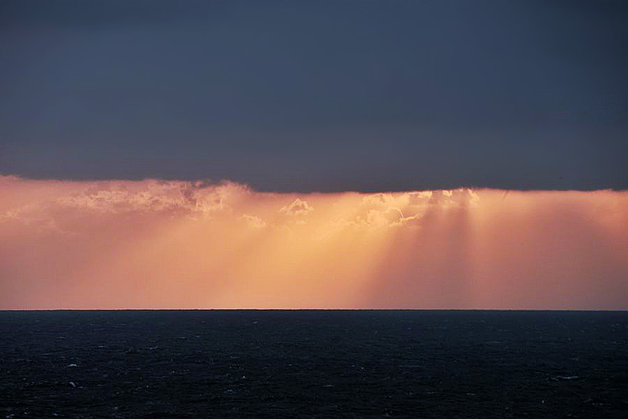 _DSC1693__.jpg