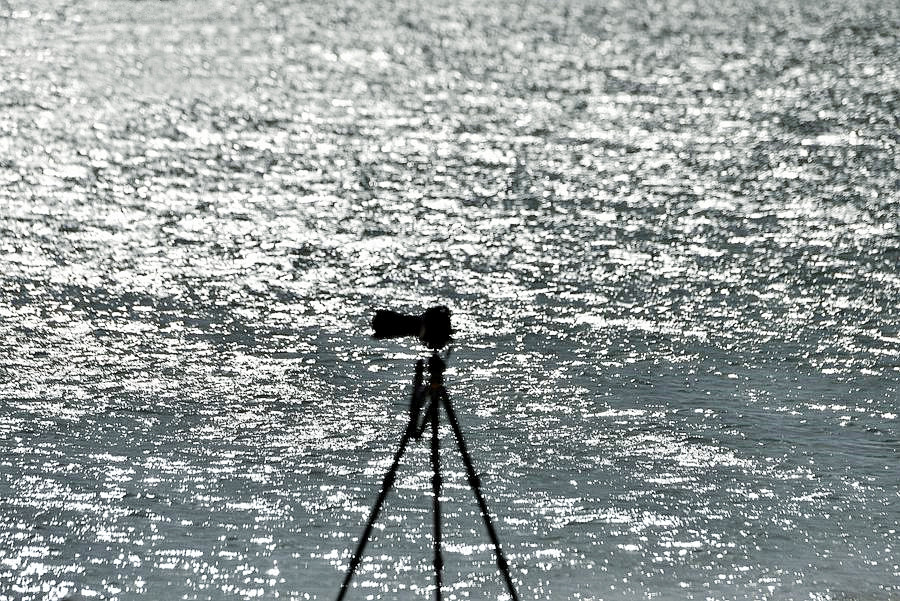 _DSC1225__.jpg