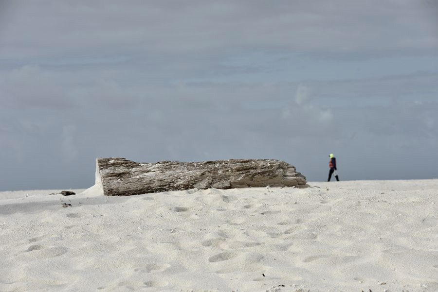 _DSC1063__.jpg