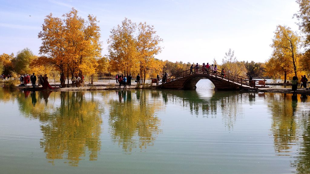 IMG_20211014_121830_1_副本.jpg