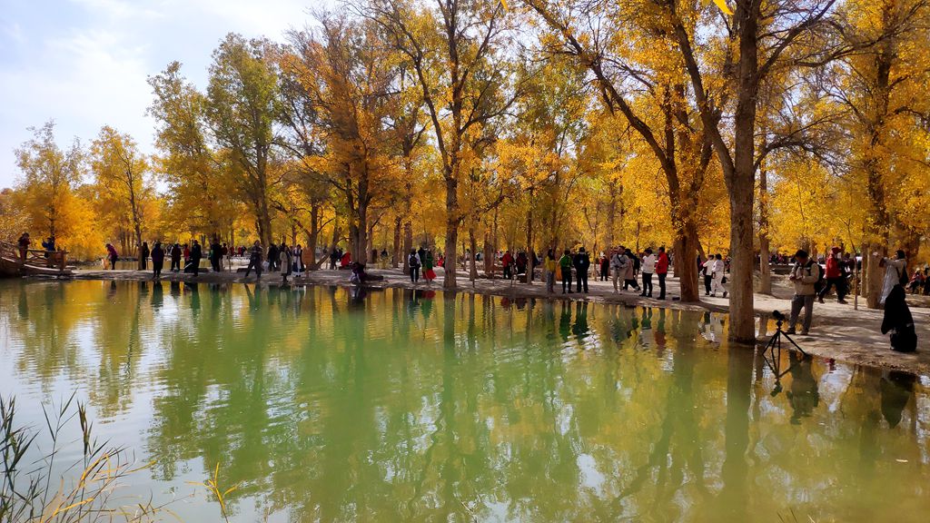 IMG_20211014_121916_副本.jpg