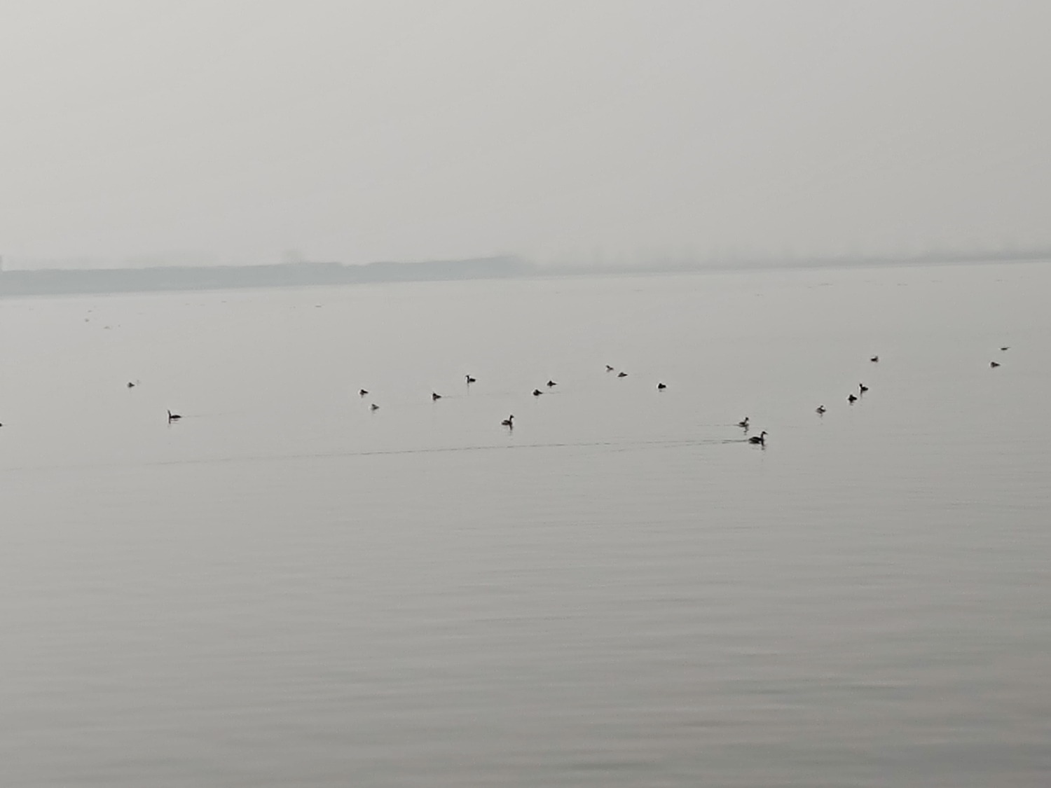 IMG_20220112_132317609.jpg