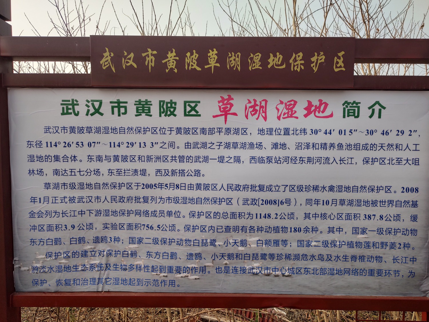 IMG_20220112_132812922_HDR.jpg