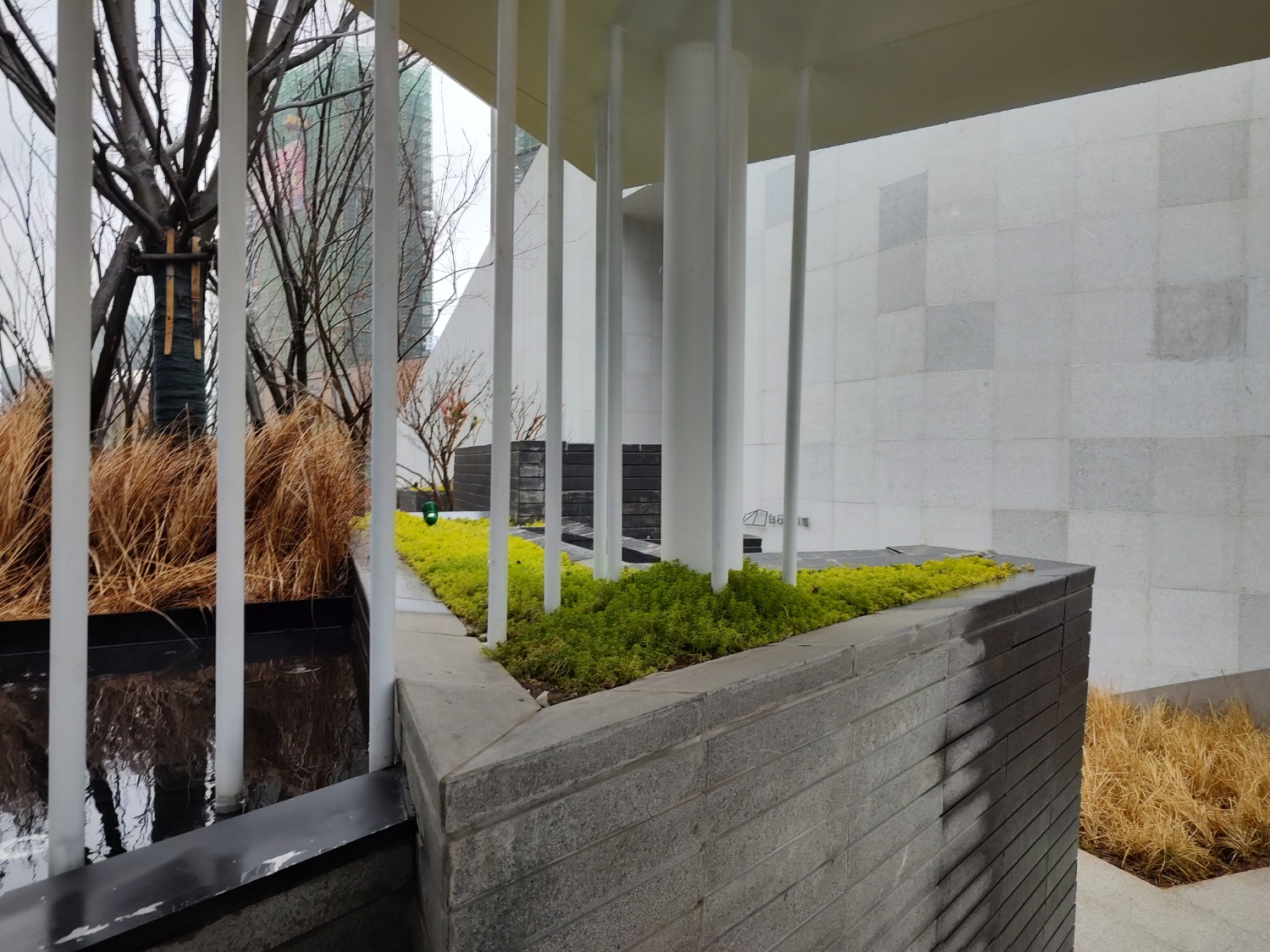 IMG_20220123_123337946_HDR.jpg