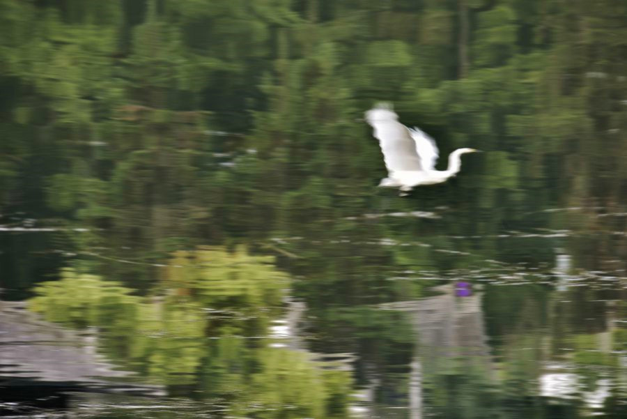 _DSC2515__.jpg