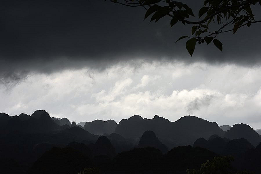 _DSC2798__.jpg