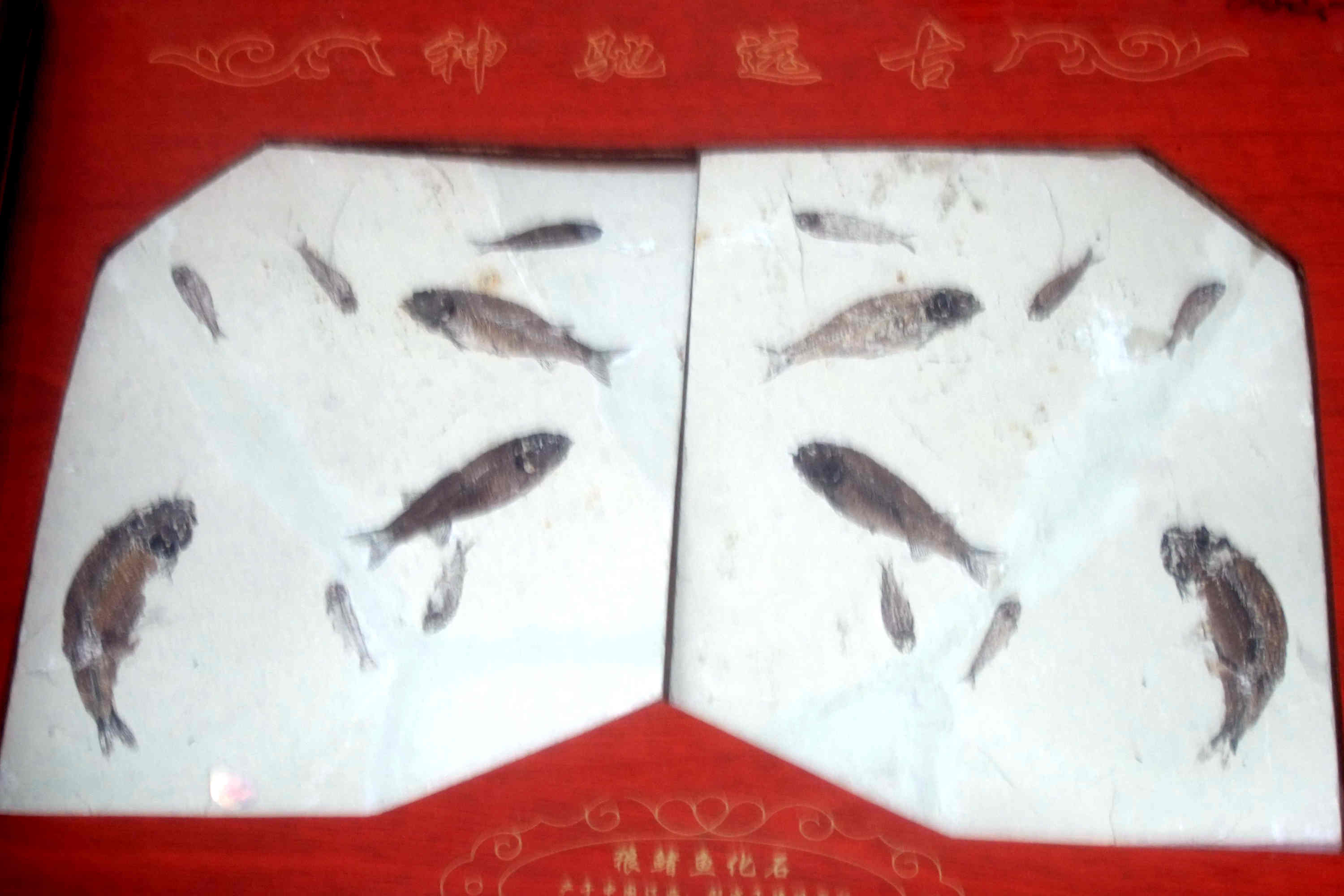 59020130723.JPG