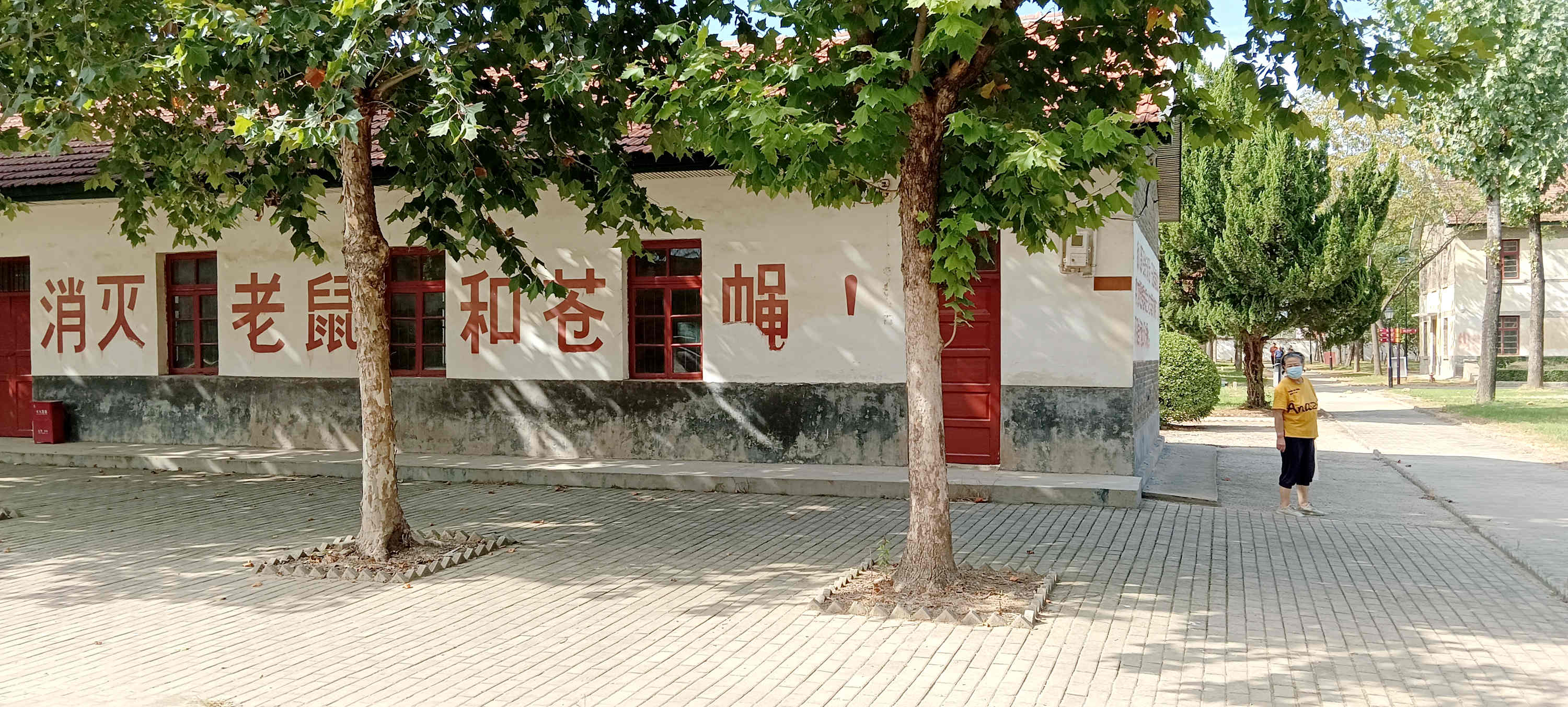 602—1.JPG