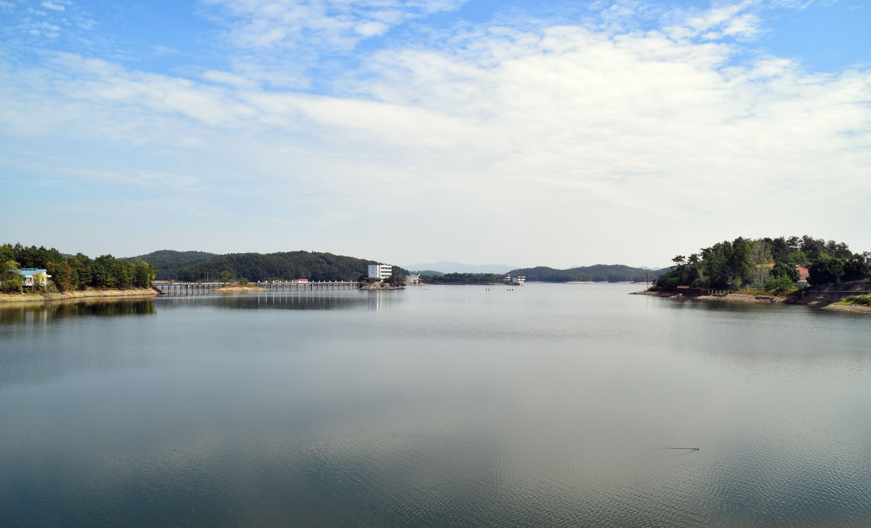 DSC_0748.JPG