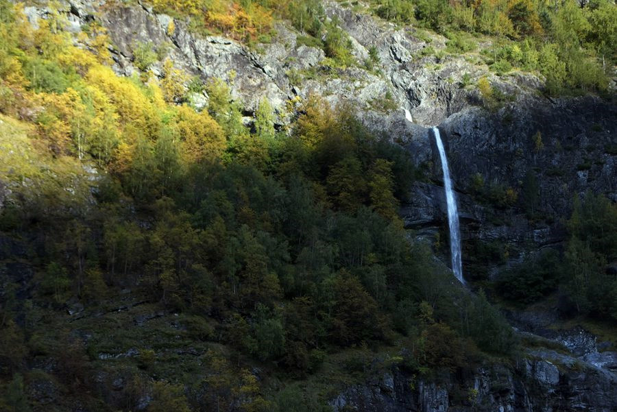 _DSC2179__.jpg