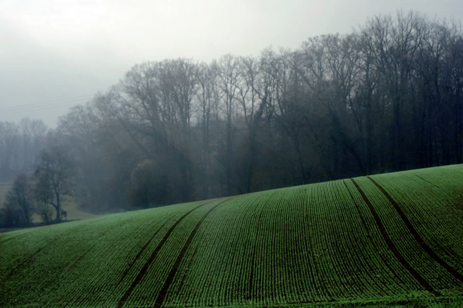 _DSC3620__.jpg