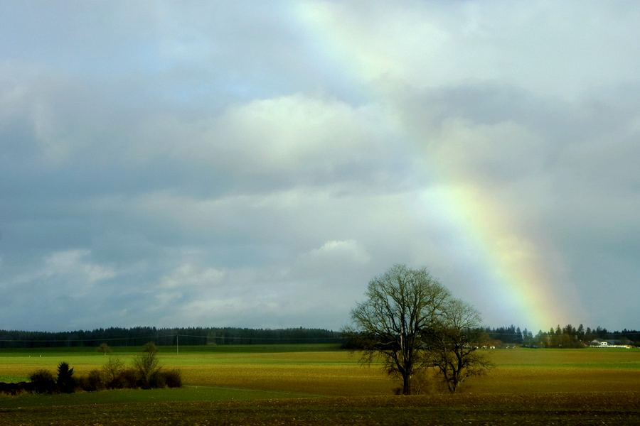 _DSC3689__.jpg