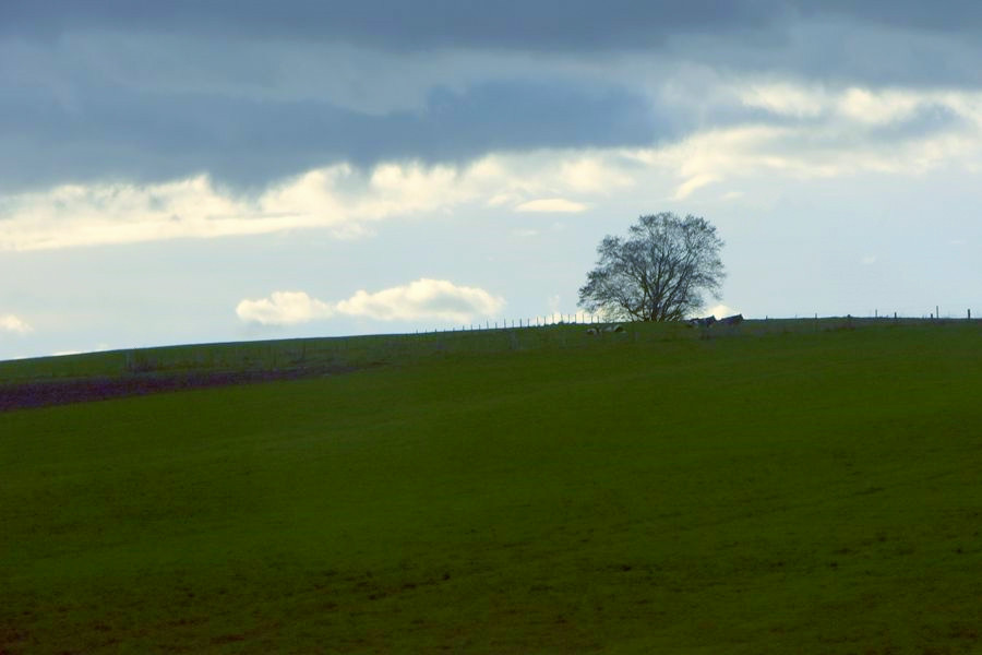 _DSC3731__.jpg