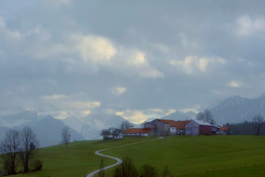 _DSC3774__.jpg