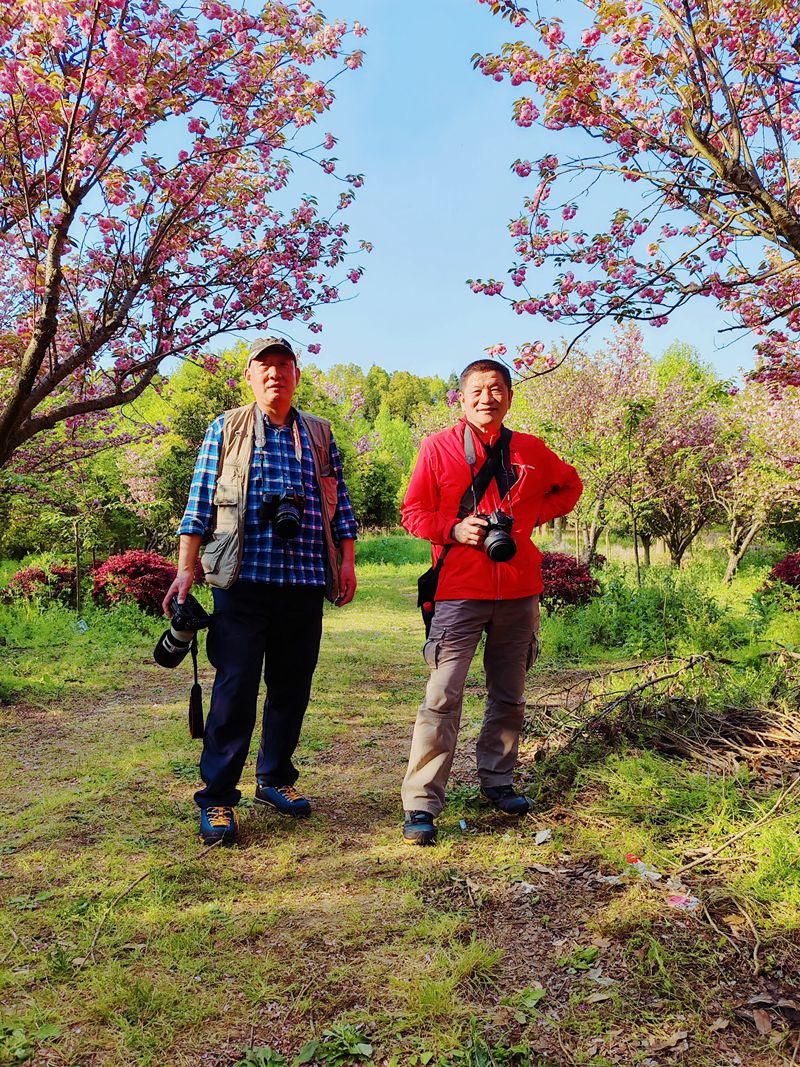 群相册坪坝樱花11.jpg
