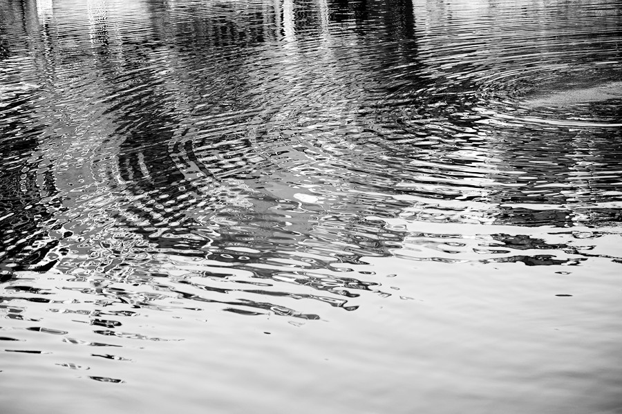 _DSC8138__.jpg