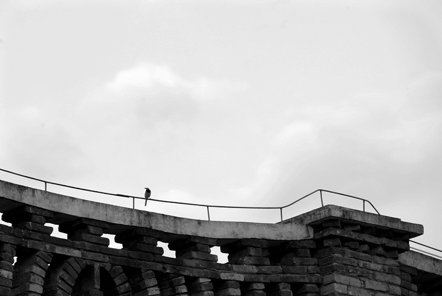 _DSC8618__.jpg