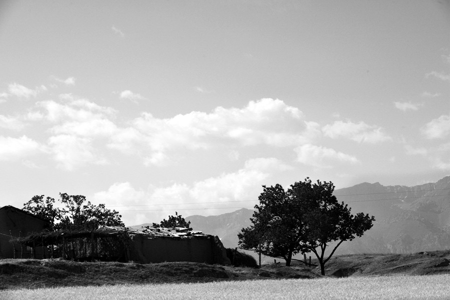 _DSC5216__.jpg