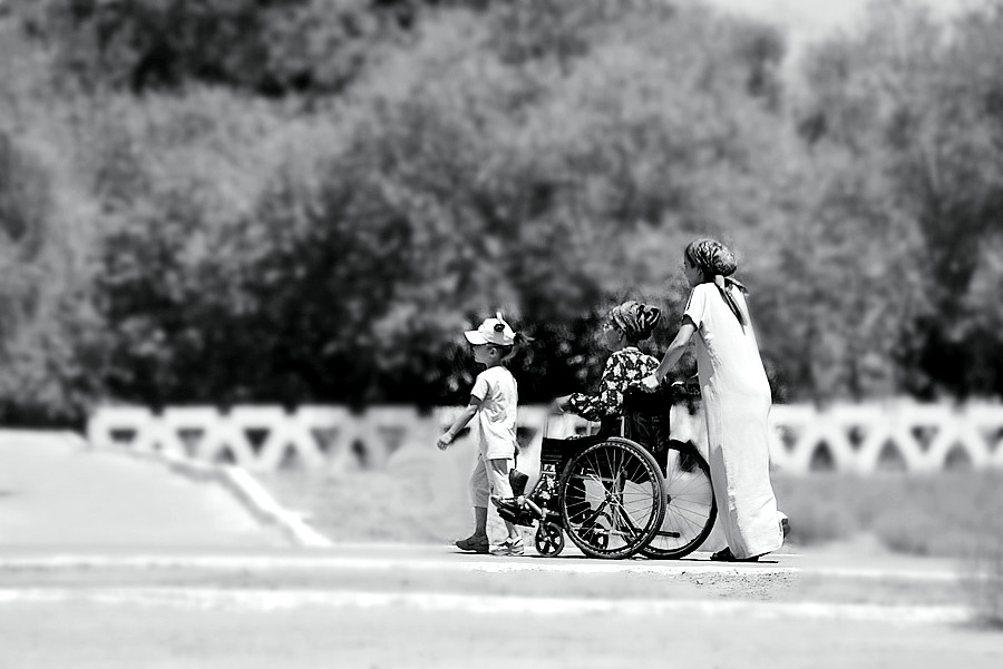 _DSC6504__.jpg