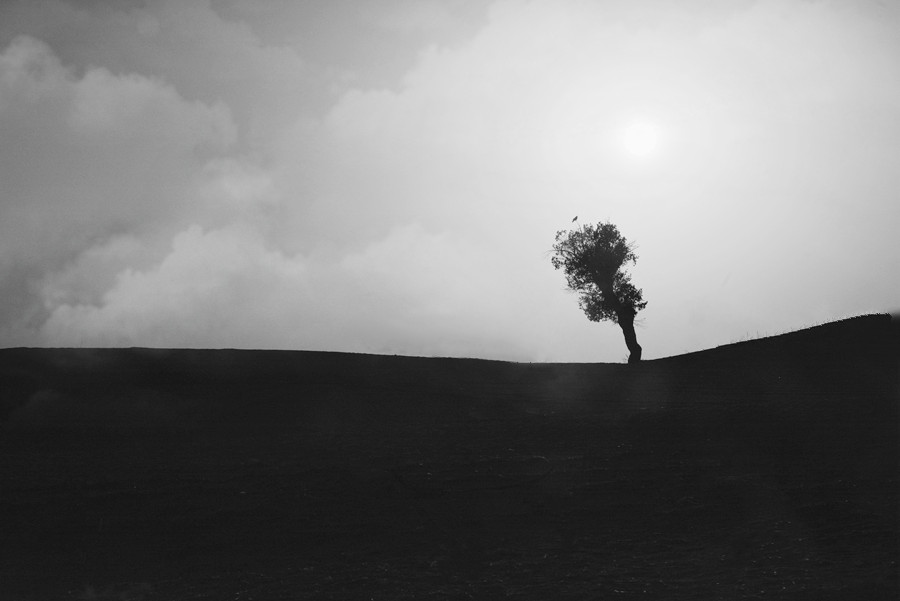 _DSC9395__.jpg
