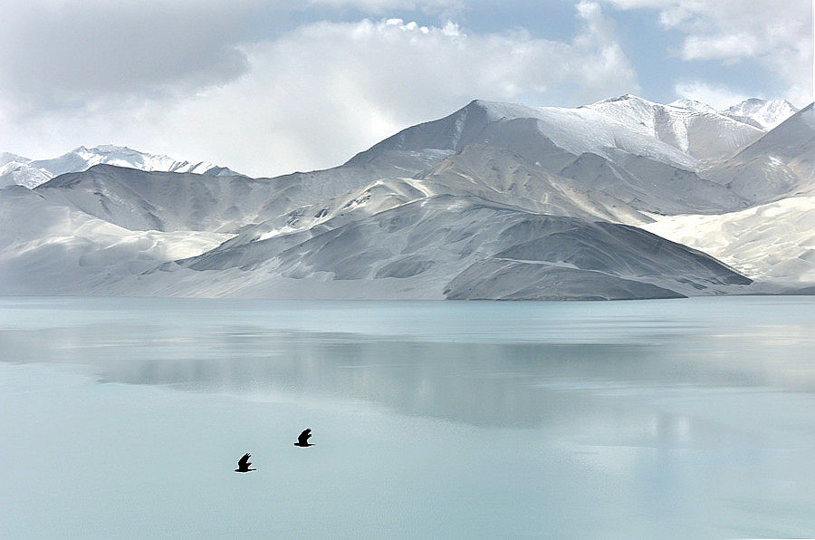 _DSC7182___.jpg