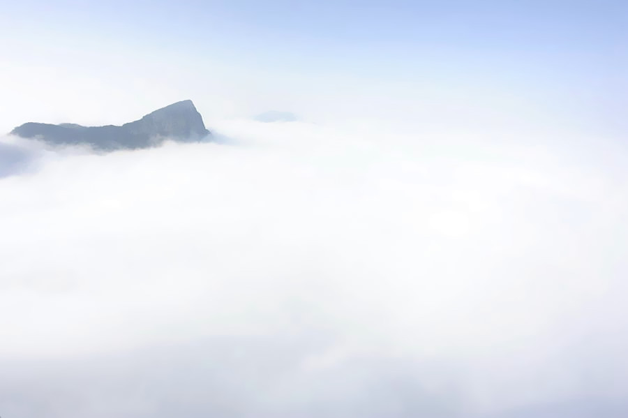 _DSC1453____.jpg