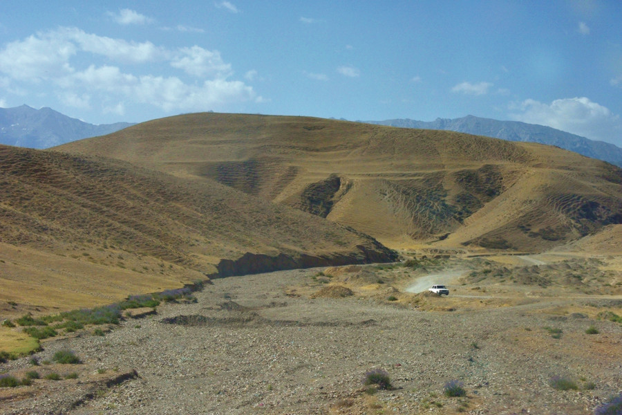 _DSC5223__.jpg