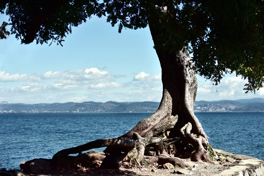 DSC_0051__.jpg