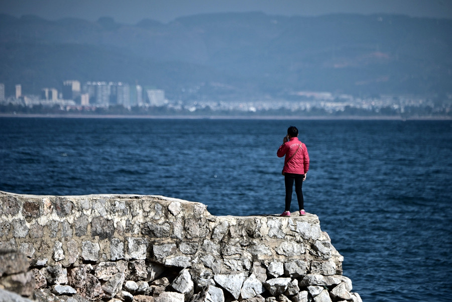 DSC_0588__.jpg