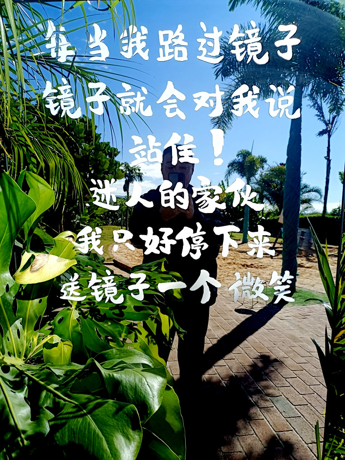 IMG_20241201_141105_副本_副本.jpg