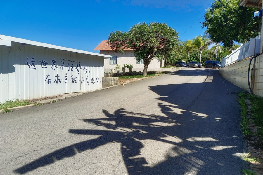 IMG_20241201_141459_副本_副本.jpg