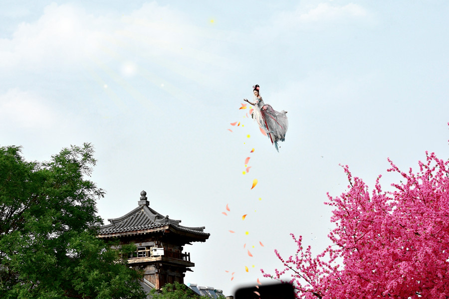 DSC_0161_副本_副本.jpg