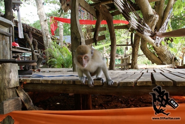 DSC01775.jpg