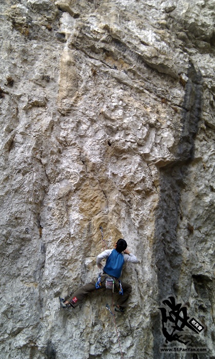IMAG0019.jpg