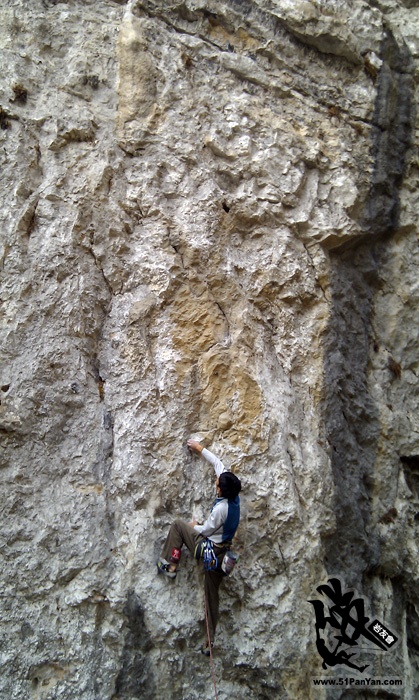IMAG0017.jpg